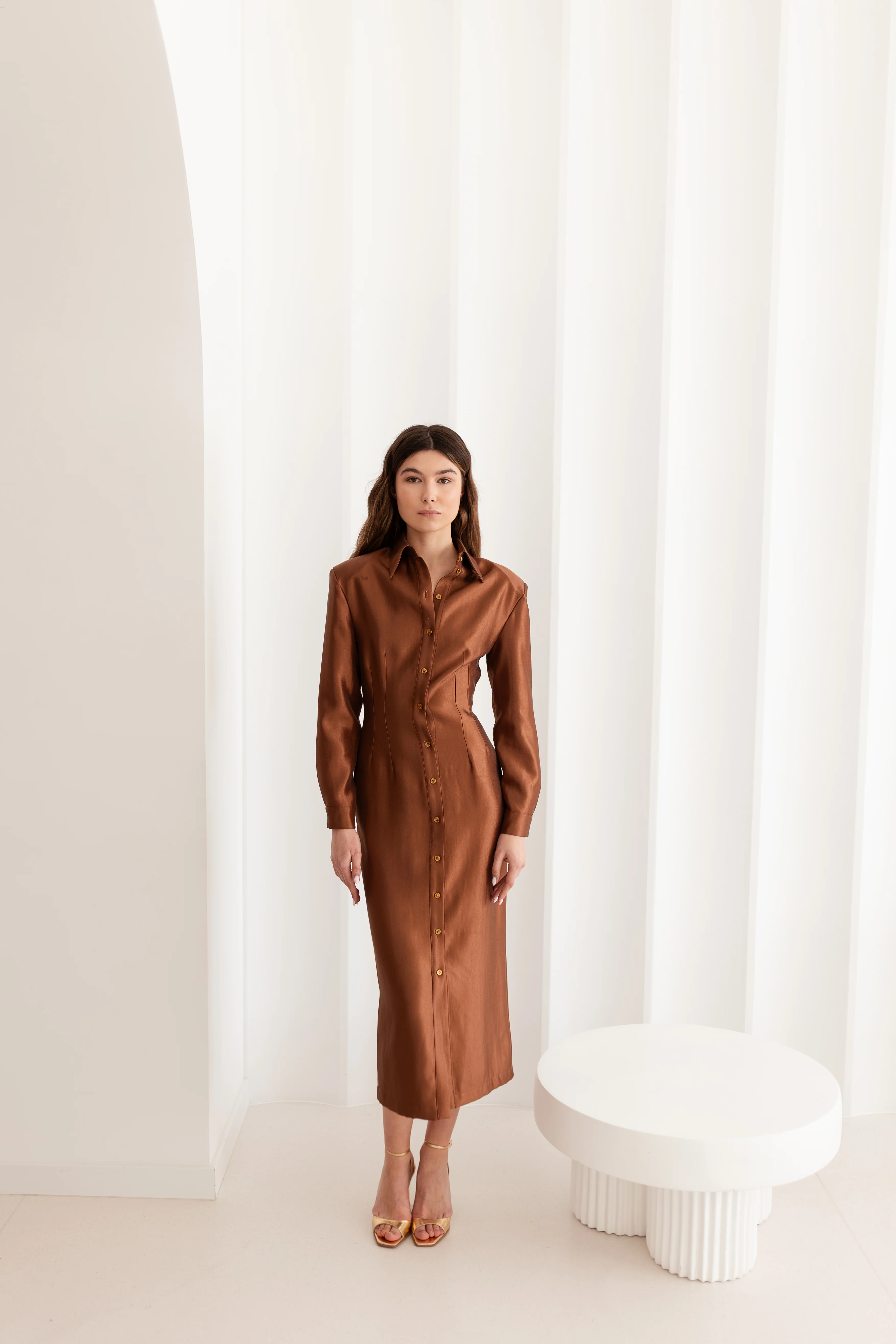 EDITH Brown Fitted Midi Shirt Dress - Image 5